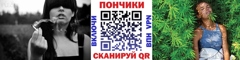 Бошки марихуана конопля  это как зайти  Старая Русса  продажа наркотиков 